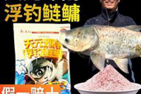 金版浮钓鲢鳙饵料鱼饵深度评测 不多用几天你体验不到的!