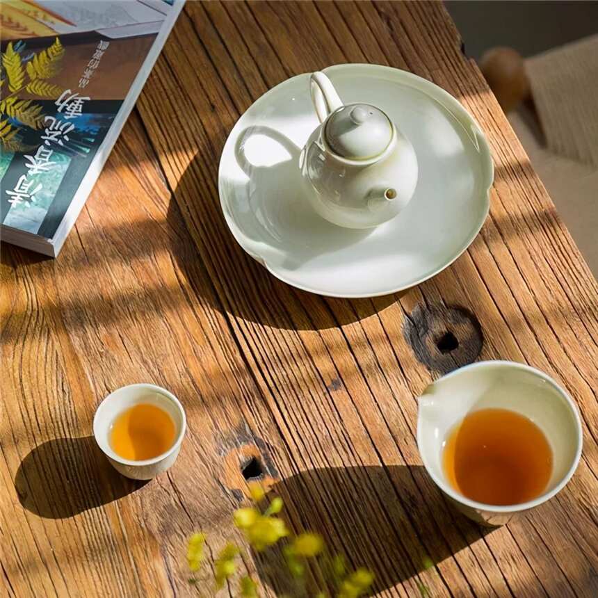 普洱生茶的成分（普洱生茶的成分有多少种）