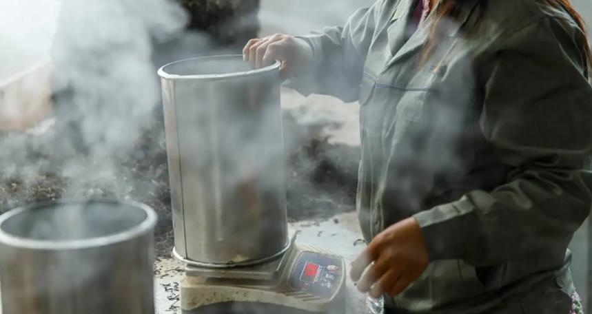 散茶与饼茶有什么区别？哪种好？