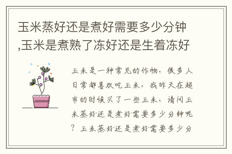 玉米蒸好还是煮好需要多少分钟,玉米是煮熟了冻好还是生着冻好