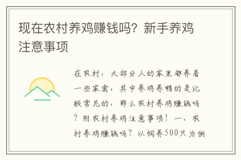 现在农村养鸡赚钱吗？新手养鸡注意事项