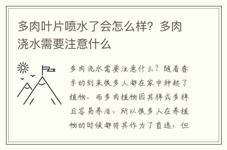 多肉叶片喷水了会怎么样？多肉浇水需要注意什么