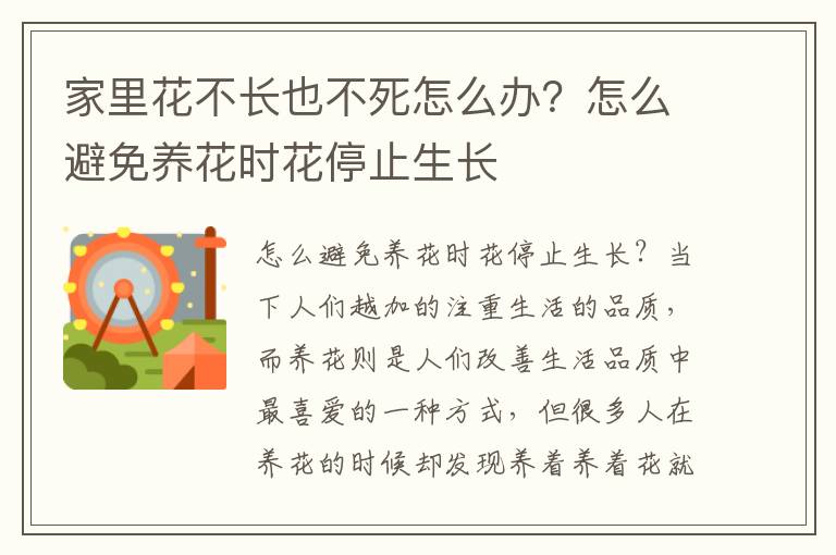 家里花不长也不死怎么办？怎么避免养