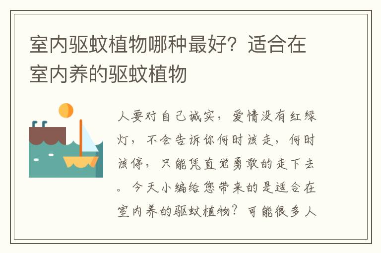室内驱蚊植物哪种最好？适合在室内养的驱蚊植物