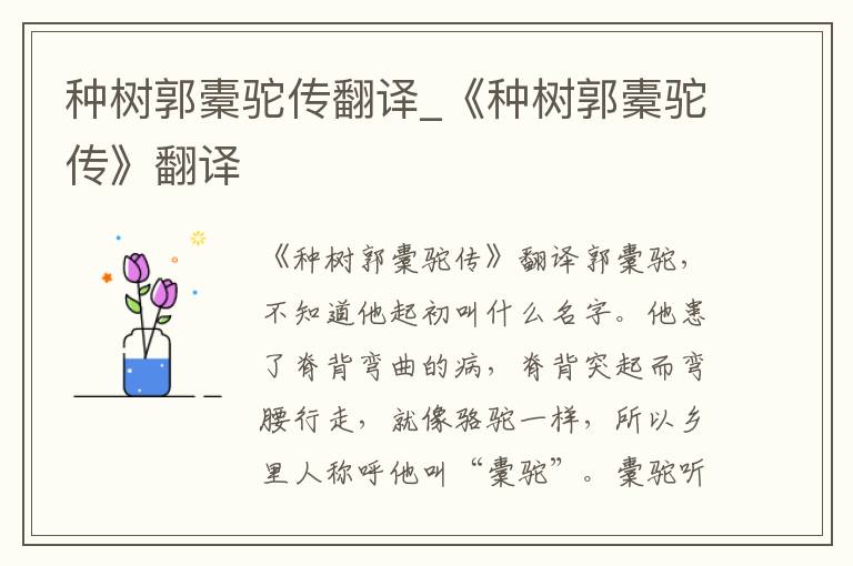 种树郭橐驼传翻译_《种树郭橐驼传》翻译