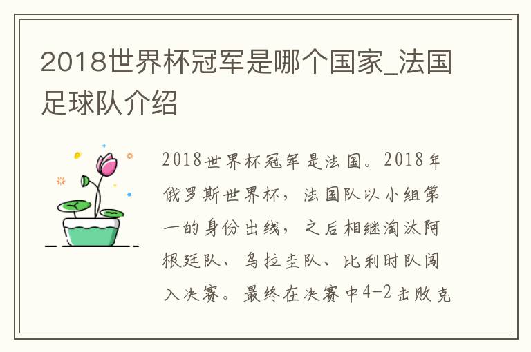 2018世界杯冠军是哪个国家_法国足