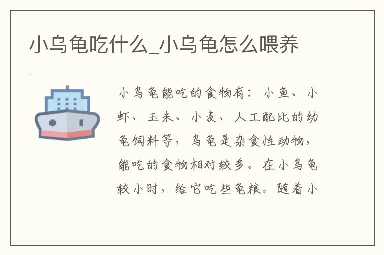 小乌龟吃什么_小乌龟怎么喂养