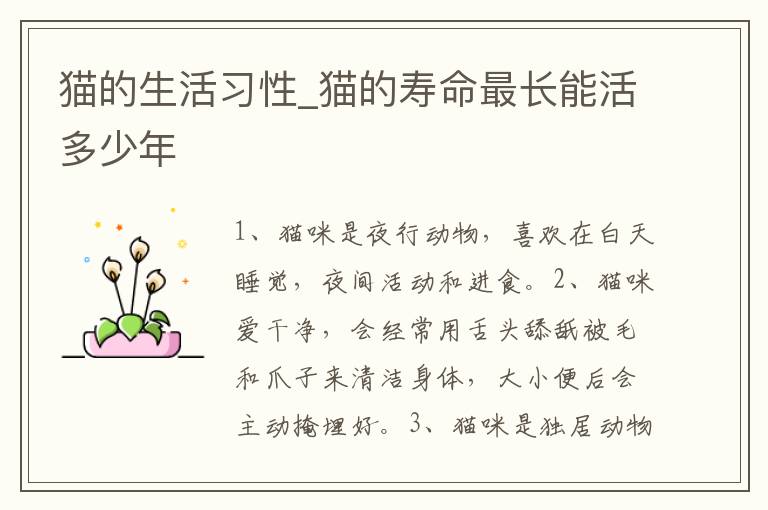猫的生活习性_猫的寿命最长能活多少年