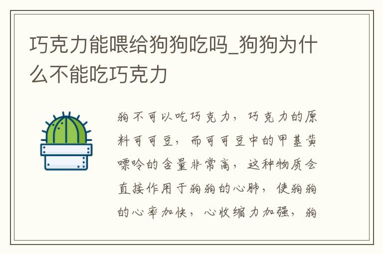 巧克力能喂给狗狗吃吗_狗狗为什么不能吃巧克力