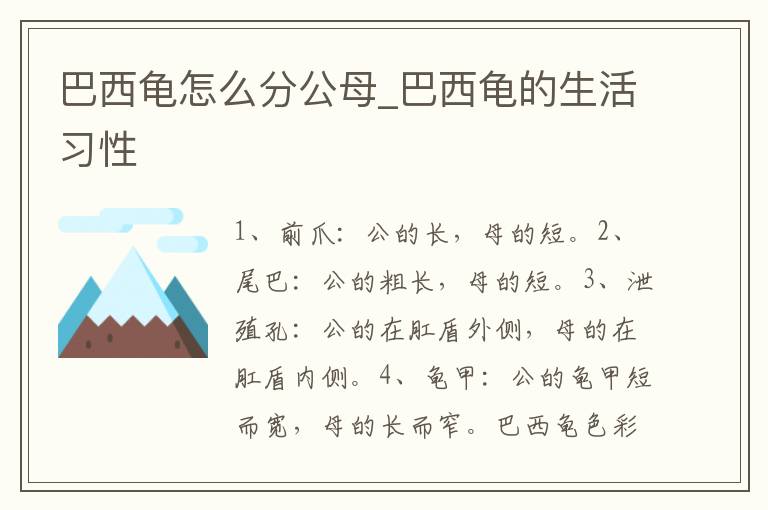 巴西龟怎么分公母_巴西龟的生活习