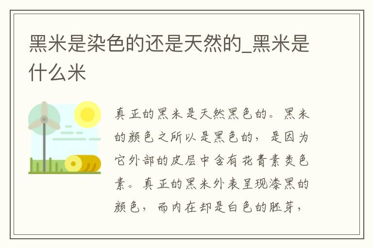 黑米是染色的还是天然的_黑米是什么米