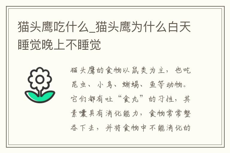 猫头鹰吃什么_猫头鹰为什么白天睡觉晚上不睡觉