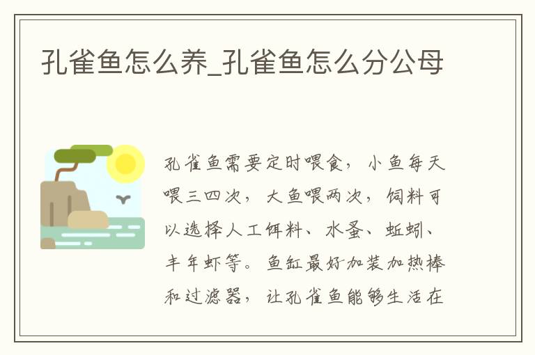 孔雀鱼怎么养_孔雀鱼怎么分公母