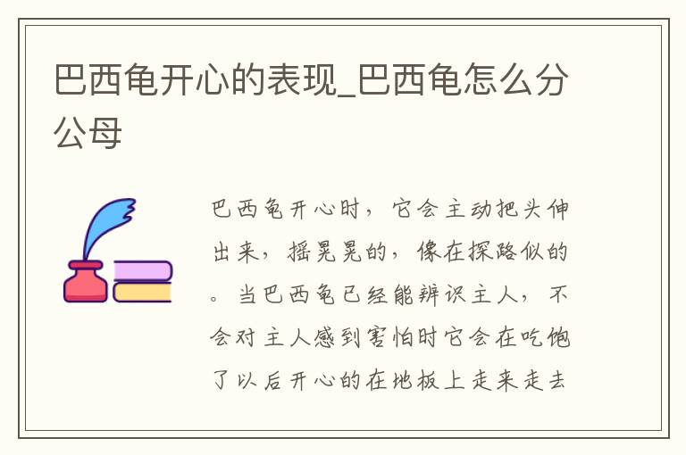 巴西龟开心的表现_巴西龟怎么分公