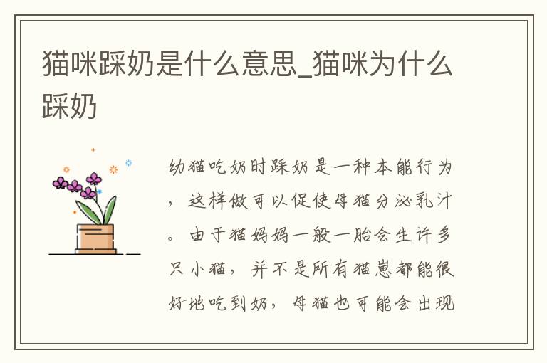猫咪踩奶是什么意思_猫咪为什么踩奶