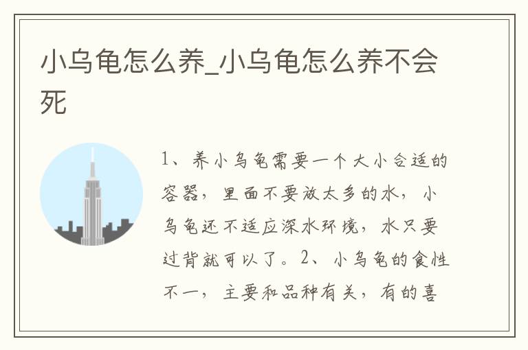 小乌龟怎么养_小乌龟怎么养不会死