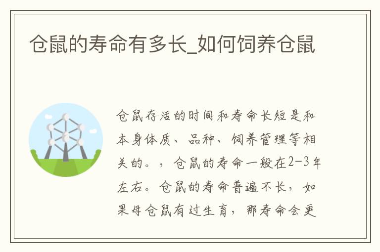 仓鼠的寿命有多长_如何饲养仓鼠