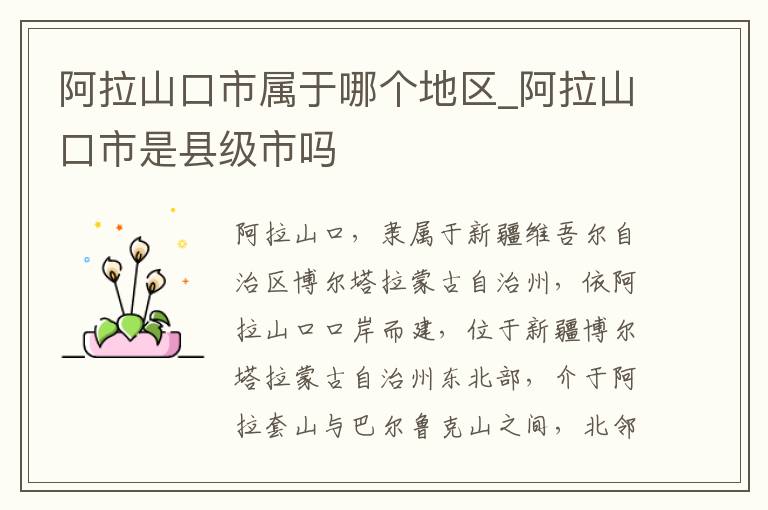 阿拉山口市属于哪个地区_阿拉山口市是县级市吗