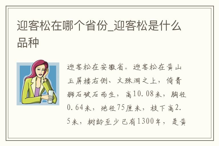 迎客松在哪个省份_迎客松是什么品种