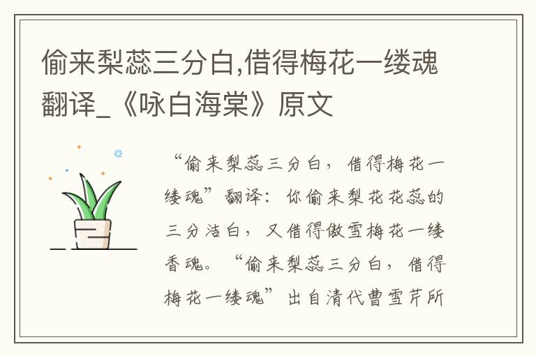 偷来梨蕊三分白,借得梅花一缕魂翻译_《咏白海棠》原文