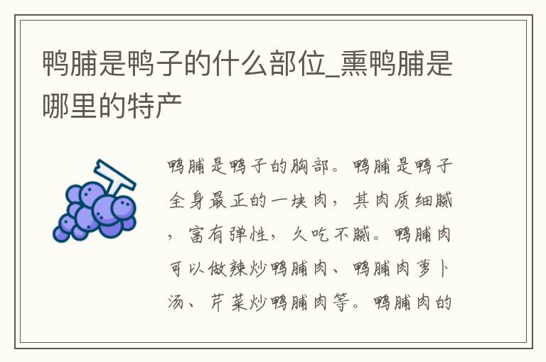 鸭脯是鸭子的什么部位_熏鸭脯是哪里的特产