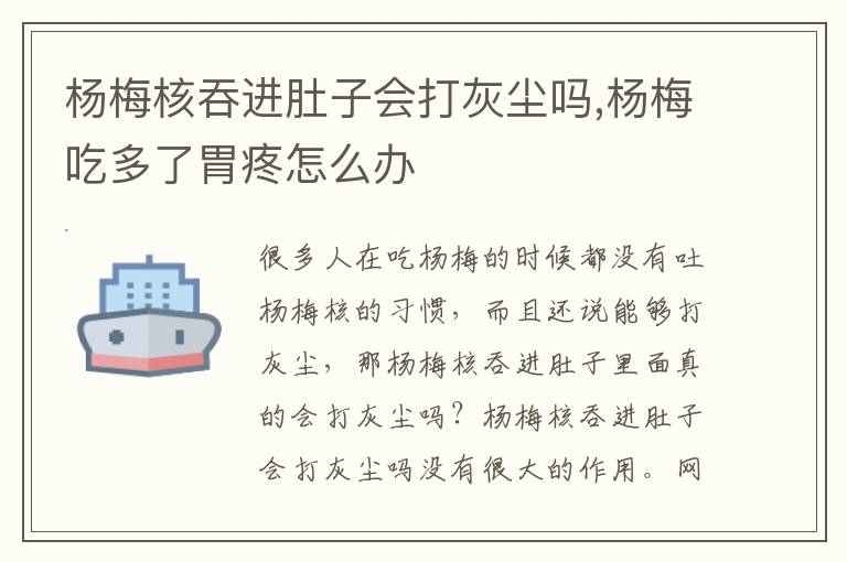 杨梅核吞进肚子会打灰尘吗,杨梅吃多了胃疼怎么办