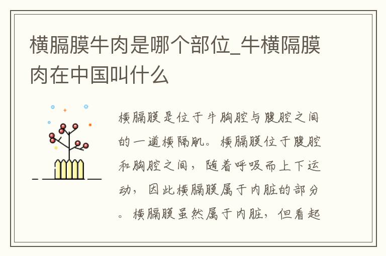 横膈膜牛肉是哪个部位_牛横隔膜肉在中国叫什么