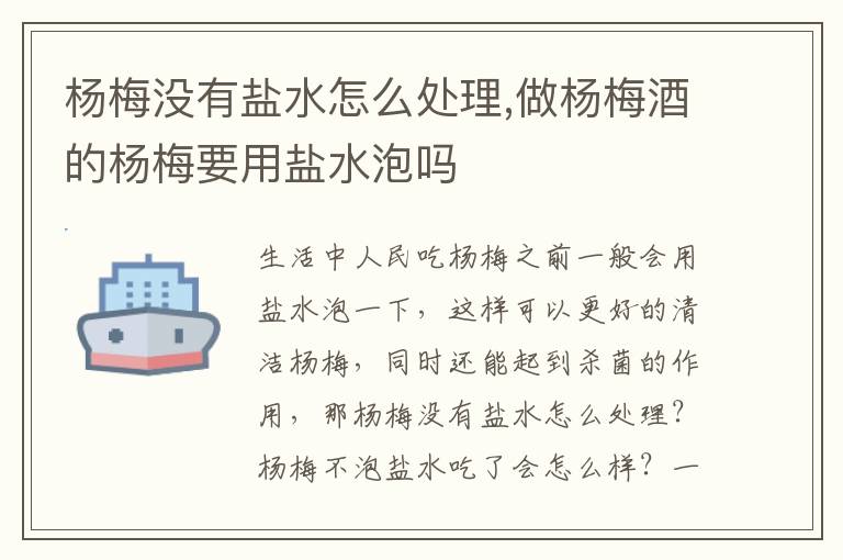 杨梅没有盐水怎么处理,做杨梅酒的杨梅要用盐水泡吗