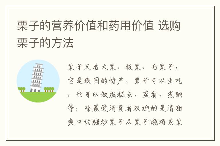 栗子的营养价值和药用价值 选购栗