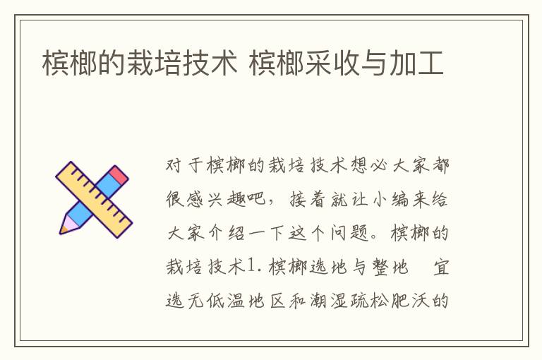 槟榔的栽培技术 槟榔采收与加工