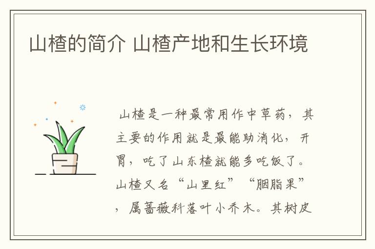 山楂的简介 山楂产地和生长环境