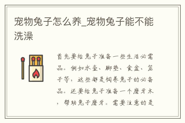 宠物兔子怎么养_宠物兔子能不能洗澡