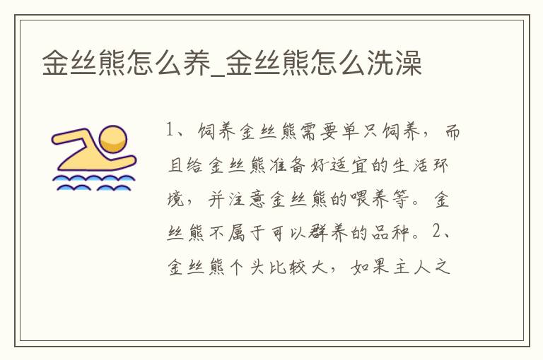 金丝熊怎么养_金丝熊怎么洗澡