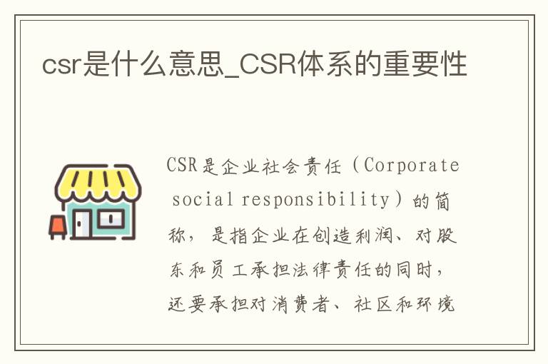 csr是什么意思_CSR体系的重要性