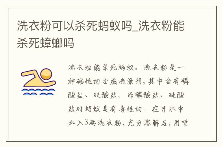 洗衣粉可以杀死蚂蚁吗_洗衣粉能杀死蟑螂吗