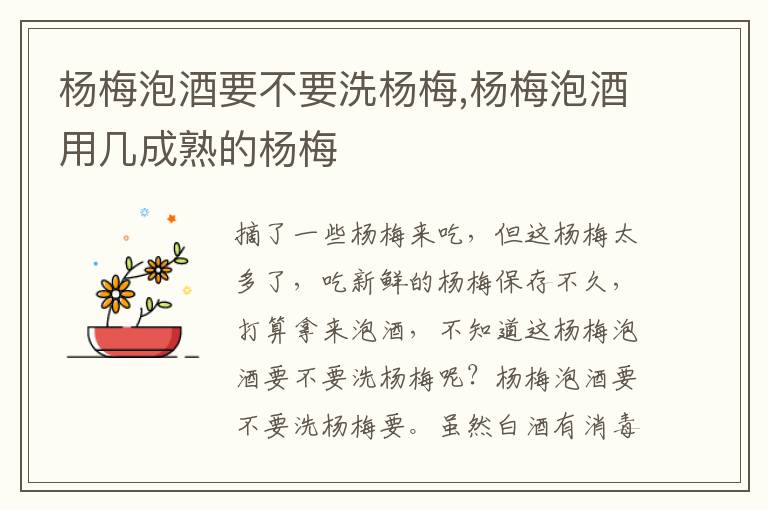 杨梅泡酒要不要洗杨梅,杨梅泡酒用几成熟的杨梅