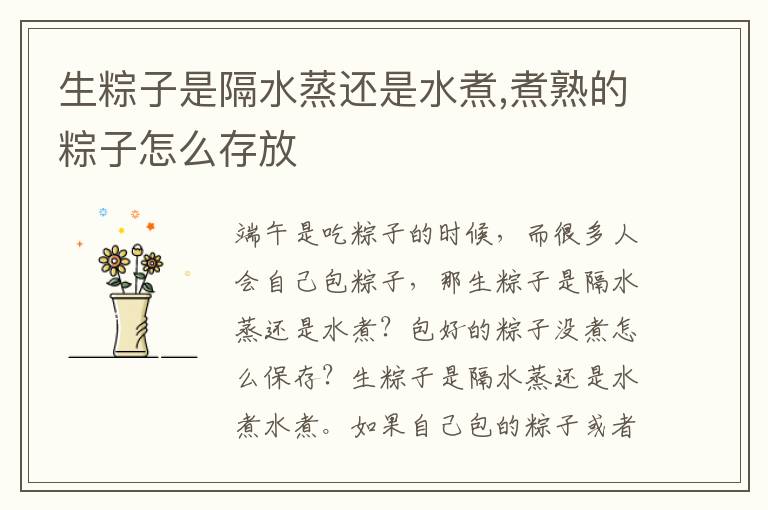 生粽子是隔水蒸还是水煮,煮熟的粽子怎么存放