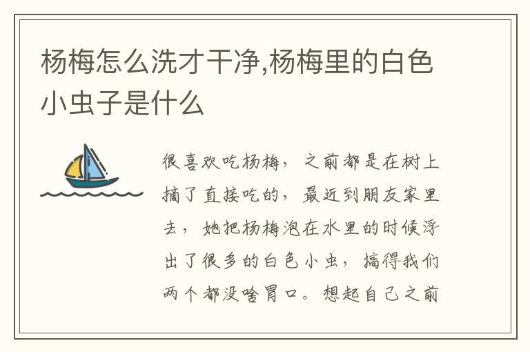 杨梅怎么洗才干净,杨梅里的白色小虫子是什么
