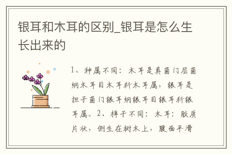银耳和木耳的区别_银耳是怎么生长