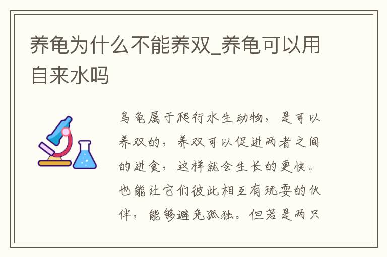 养龟为什么不能养双_养龟可以用自来水吗