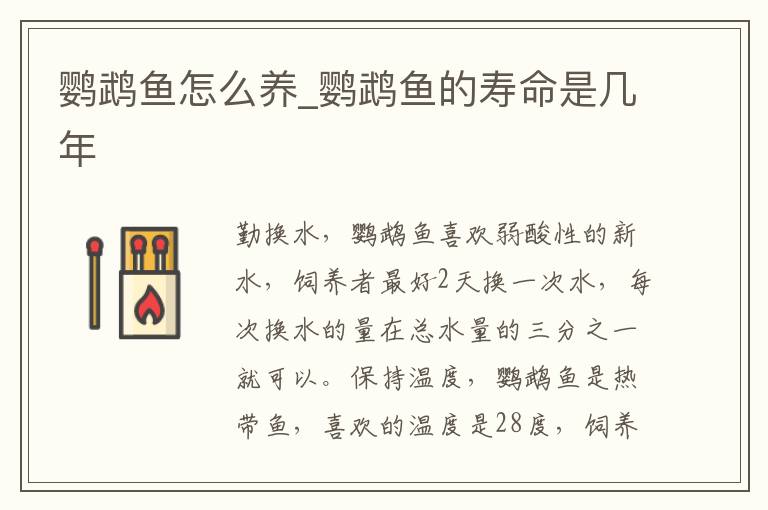 鹦鹉鱼怎么养_鹦鹉鱼的寿命是几年