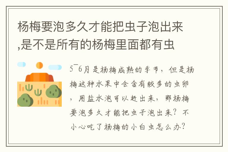 杨梅要泡多久才能把虫子泡出来,是不是所有的杨梅里面都有虫