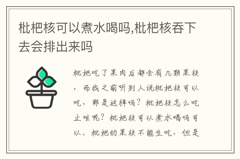 枇杷核可以煮水喝吗,枇杷核吞下去会排出来吗