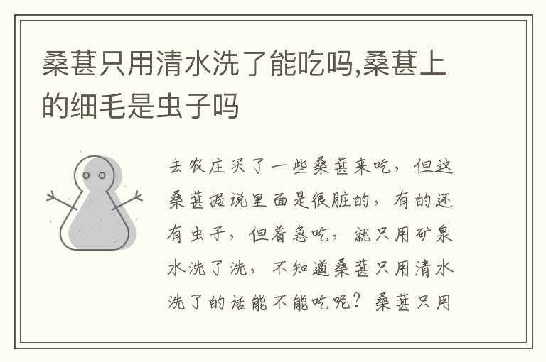 桑葚只用清水洗了能吃吗,桑葚上的