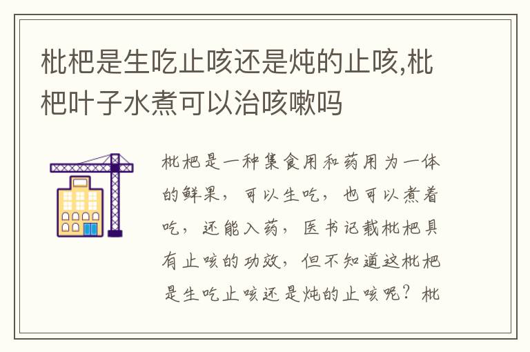 枇杷是生吃止咳还是炖的止咳,枇杷叶子水煮可以治咳嗽吗