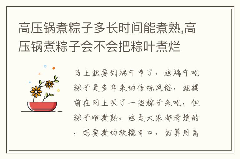 高压锅煮粽子多长时间能煮熟,高压