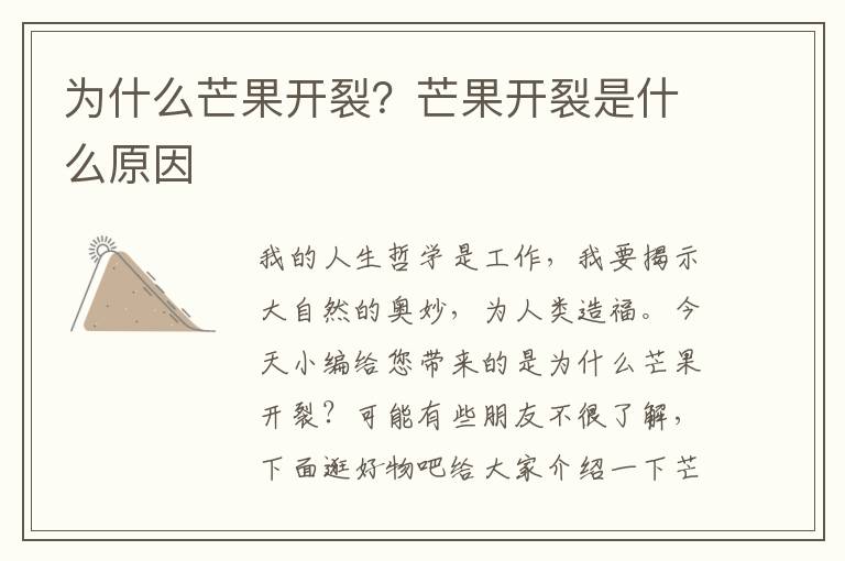 为什么芒果开裂？芒果开裂是什么原因