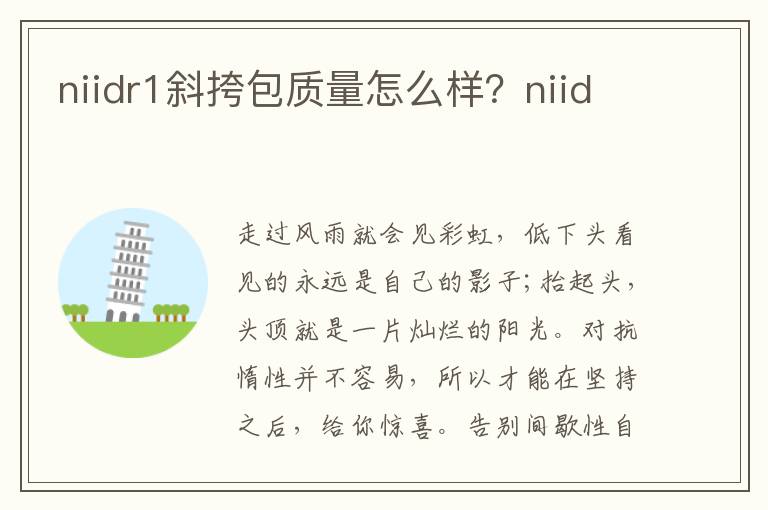 niidr1斜挎包质量怎么样？niid