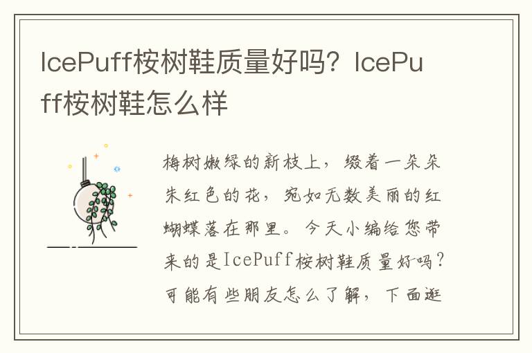 IcePuff桉树鞋质量好吗？IcePuff桉树鞋怎么样