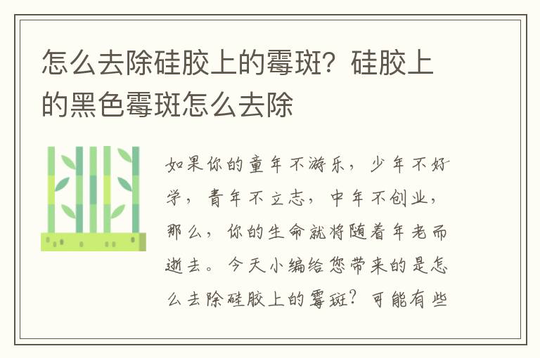 怎么去除硅胶上的霉斑？硅胶上的黑色霉斑怎么去除